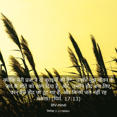 Picture 03 - यिर्मयाह 2:13 HINIRV - क्योंकि मेरी - Bible Verse Picture