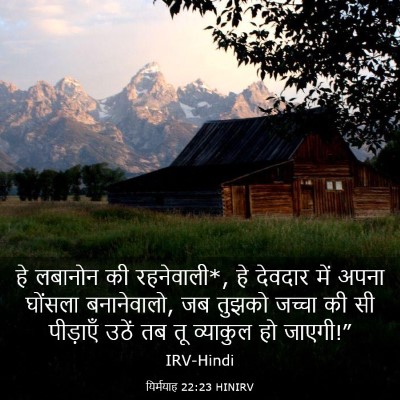 Picture 03 - यिर्मयाह 22:23 HINIRV - हे लबानोन की - Bible Verse Picture