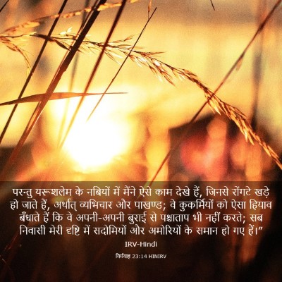 Picture 03 - यिर्मयाह 23:14 HINIRV - परन्तु यरूशलेम के - Bible Verse Picture