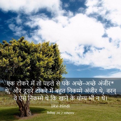 Picture 03 - यिर्मयाह 24:2 HINIRV - एक टोकरे में तो - Bible Verse Picture