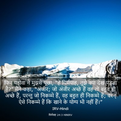 Picture 03 - यिर्मयाह 24:3 HINIRV - फिर यहोवा ने मुझसे - Bible Verse Picture