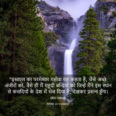 Picture 03 - यिर्मयाह 24:5 HINIRV - “इस्राएल का - Bible Verse Picture