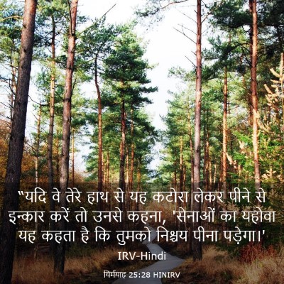 Picture 03 - यिर्मयाह 25:28 HINIRV - “यदि वे तेरे हाथ से - Bible Verse Picture