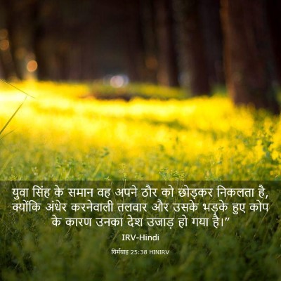 Picture 03 - यिर्मयाह 25:38 HINIRV - युवा सिंह के समान - Bible Verse Picture