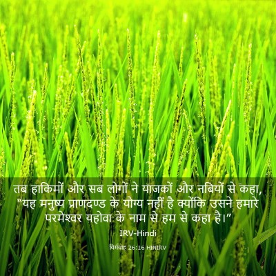 Picture 03 - यिर्मयाह 26:16 HINIRV - तब हाकिमों और सब - Bible Verse Picture
