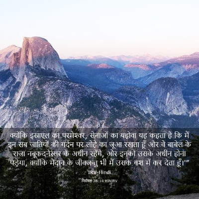 Picture 03 - यिर्मयाह 28:14 HINIRV - क्योंकि इस्राएल - Bible Verse Picture