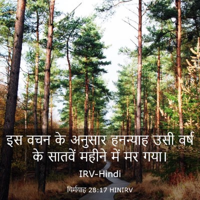Picture 03 - यिर्मयाह 28:17 HINIRV - इस वचन के अनुसार - Bible Verse Picture