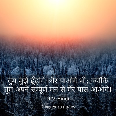 Picture 03 - यिर्मयाह 29:13 HINIRV - तुम मुझे ढूँढ़ोगे - Bible Verse Picture