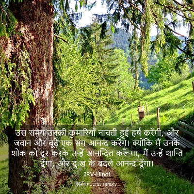 Picture 03 - यिर्मयाह 31:13 HINIRV - उस समय उनकी - Bible Verse Picture