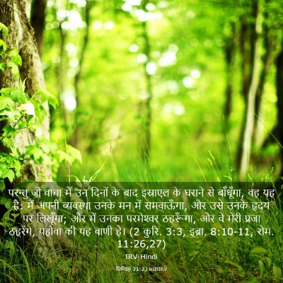 Picture 03 - यिर्मयाह 31:33 HINIRV - परन्तु जो वाचा मैं - Bible Verse Picture