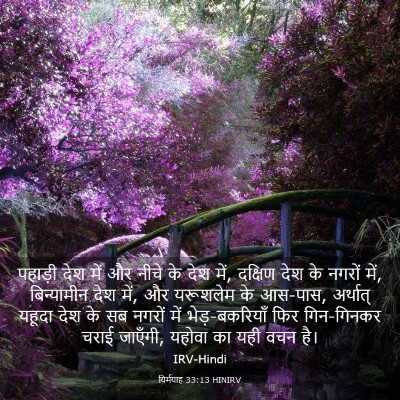 Picture 03 - यिर्मयाह 33:13 HINIRV - पहाड़ी देश में और - Bible Verse Picture