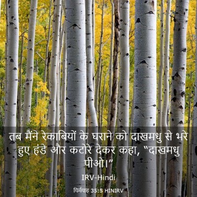 Picture 03 - यिर्मयाह 35:5 HINIRV - तब मैंने - Bible Verse Picture