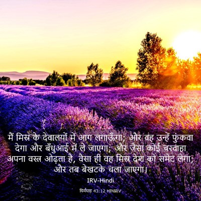 Picture 03 - यिर्मयाह 43:12 HINIRV - मैं मिस्र के - Bible Verse Picture