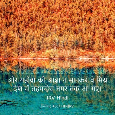 Picture 03 - यिर्मयाह 43:7 HINIRV - और यहोवा की आज्ञा न - Bible Verse Picture