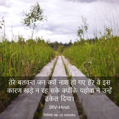 Picture 03 - यिर्मयाह 46:15 HINIRV - तेरे बलवन्त जन - Bible Verse Picture
