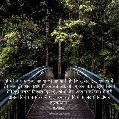 Picture 03 - यिर्मयाह 46:28 HINIRV - हे मेरे दास याकूब, - Bible Verse Picture