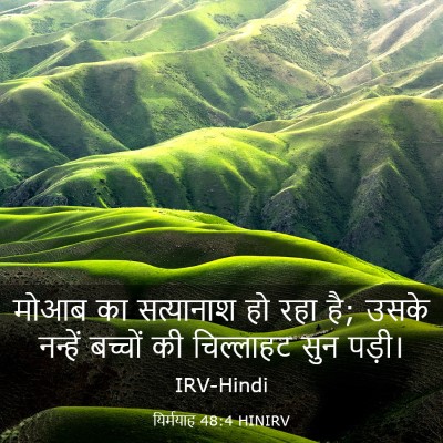 Picture 03 - यिर्मयाह 48:4 HINIRV - मोआब का सत्यानाश - Bible Verse Picture