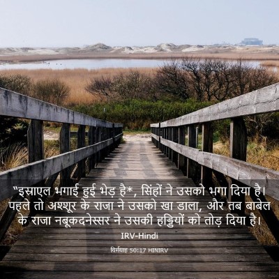 Picture 03 - यिर्मयाह 50:17 HINIRV - “इस्राएल भगाई हुई - Bible Verse Picture