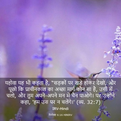 Picture 03 - यिर्मयाह 6:16 HINIRV - यहोवा यह भी कहता - Bible Verse Picture