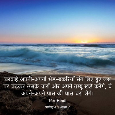 Picture 03 - यिर्मयाह 6:3 HINIRV - चरवाहे अपनी-अपनी - Bible Verse Picture