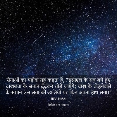 Picture 03 - यिर्मयाह 6:9 HINIRV - सेनाओं का यहोवा यह - Bible Verse Picture