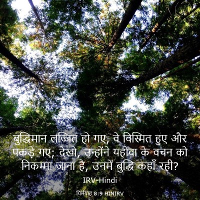 Picture 03 - यिर्मयाह 8:9 HINIRV - बुद्धिमान लज्जित - Bible Verse Picture