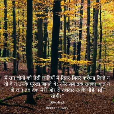 Picture 03 - यिर्मयाह 9:16 HINIRV - मैं उन लोगों को ऐसी - Bible Verse Picture