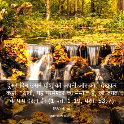 Picture 03 - यूहन्ना 1:29 HINIRV - दूसरे दिन उसने - Bible Verse Picture