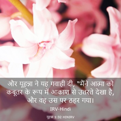 Picture 03 - यूहन्ना 1:32 HINIRV - और यूहन्ना ने यह - Bible Verse Picture