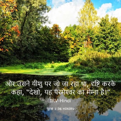 Picture 03 - यूहन्ना 1:36 HINIRV - और उसने यीशु पर जो - Bible Verse Picture