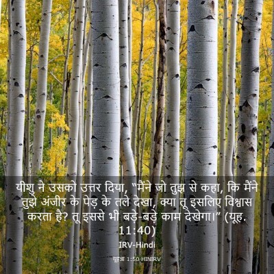 Picture 03 - यूहन्ना 1:50 HINIRV - यीशु ने उसको उत्तर - Bible Verse Picture