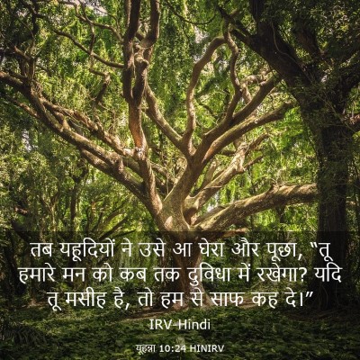 Picture 03 - यूहन्ना 10:24 HINIRV - तब यहूदियों ने उसे - Bible Verse Picture