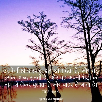 Picture 03 - यूहन्ना 10:3 HINIRV - उसके लिये - Bible Verse Picture