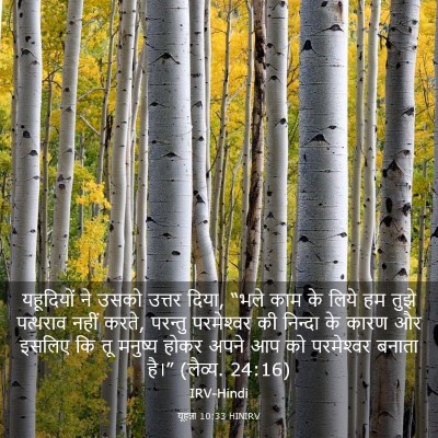 Picture 03 - यूहन्ना 10:33 HINIRV - यहूदियों ने उसको - Bible Verse Picture