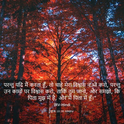 Picture 03 - यूहन्ना 10:38 HINIRV - परन्तु यदि मैं - Bible Verse Picture