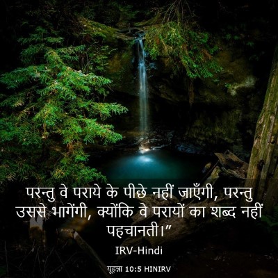 Picture 03 - यूहन्ना 10:5 HINIRV - परन्तु वे पराये के - Bible Verse Picture