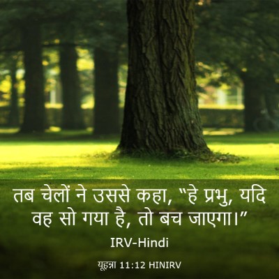 Picture 03 - यूहन्ना 11:12 HINIRV - तब चेलों ने उससे - Bible Verse Picture