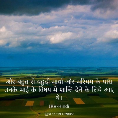 Picture 03 - यूहन्ना 11:19 HINIRV - और बहुत से यहूदी - Bible Verse Picture