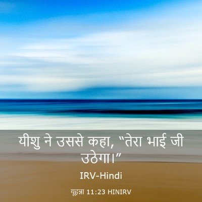 Picture 03 - यूहन्ना 11:23 HINIRV - यीशु ने उससे कहा, - Bible Verse Picture