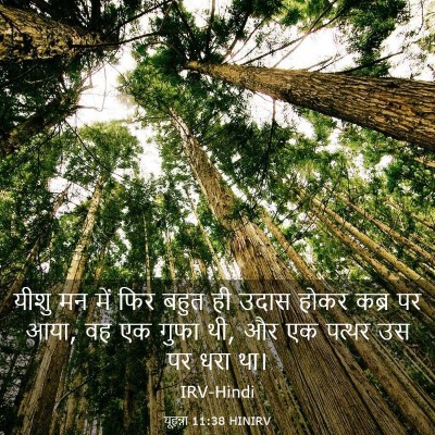 Picture 03 - यूहन्ना 11:38 HINIRV - यीशु मन में फिर - Bible Verse Picture