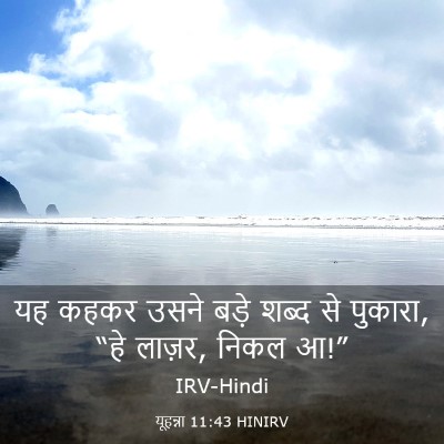 Picture 03 - यूहन्ना 11:43 HINIRV - यह कहकर उसने बड़े - Bible Verse Picture