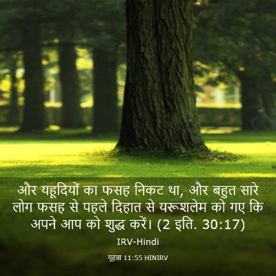 Picture 03 - यूहन्ना 11:55 HINIRV - और यहूदियों का फसह - Bible Verse Picture