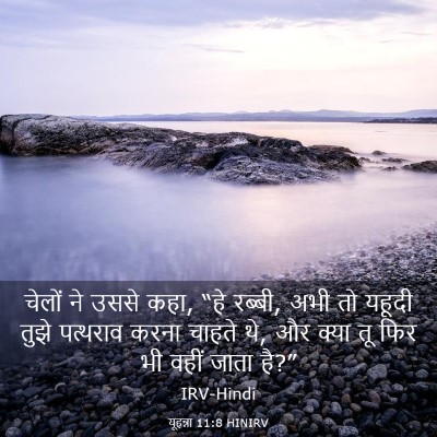 Picture 03 - यूहन्ना 11:8 HINIRV - चेलों ने उससे कहा, - Bible Verse Picture