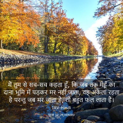 Picture 03 - यूहन्ना 12:24 HINIRV - मैं तुम से सच-सच - Bible Verse Picture