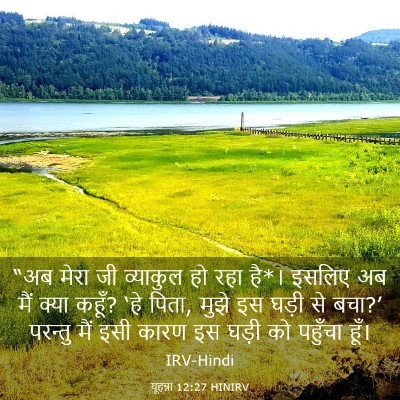 Picture 03 - यूहन्ना 12:27 HINIRV - “अब मेरा जी - Bible Verse Picture