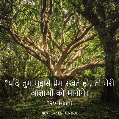 Picture 03 - यूहन्ना 14:15 HINIRV - “यदि तुम मुझसे - Bible Verse Picture