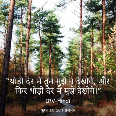 Picture 03 - यूहन्ना 16:16 HINIRV - “थोड़ी देर में तुम - Bible Verse Picture