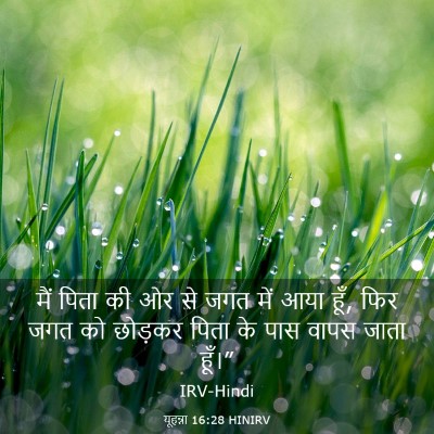 Picture 03 - यूहन्ना 16:28 HINIRV - मैं पिता की ओर से - Bible Verse Picture