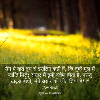 Picture 03 - यूहन्ना 16:33 HINIRV - मैंने ये बातें तुम - Bible Verse Picture