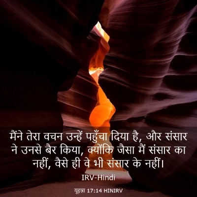 Picture 03 - यूहन्ना 17:14 HINIRV - मैंने तेरा वचन - Bible Verse Picture